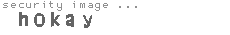 security image