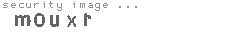 security image