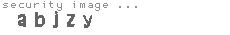 security image