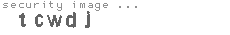 security image