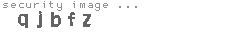 security image