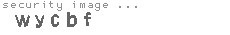 security image