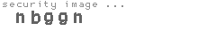 security image