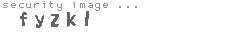 security image