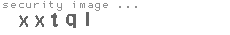 security image