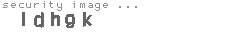 security image