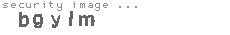 security image