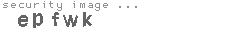 security image