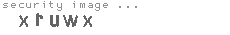 security image