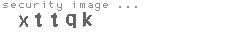 security image