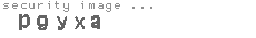 security image