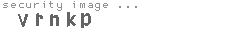 security image