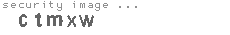 security image