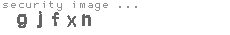 security image