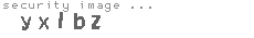 security image