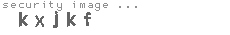 security image
