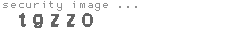security image