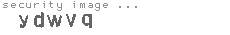 security image