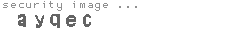 security image