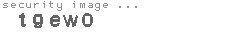 security image