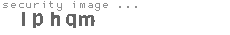 security image