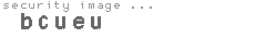 security image