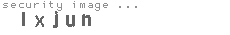 security image