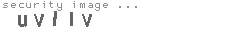 security image
