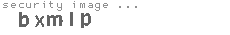 security image