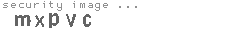security image