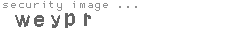 security image