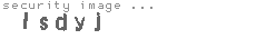 security image