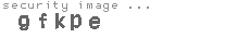 security image