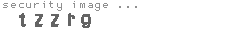 security image