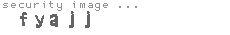 security image