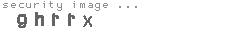 security image