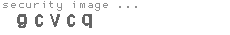 security image