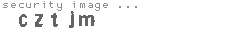 security image