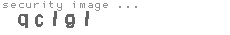 security image