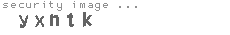 security image