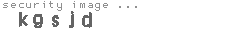 security image