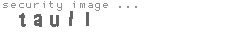 security image