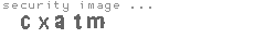 security image