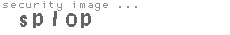 security image