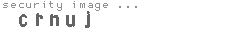 security image