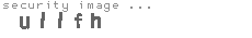 security image