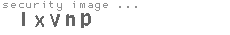 security image
