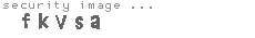 security image
