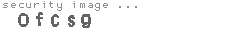 security image