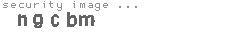 security image